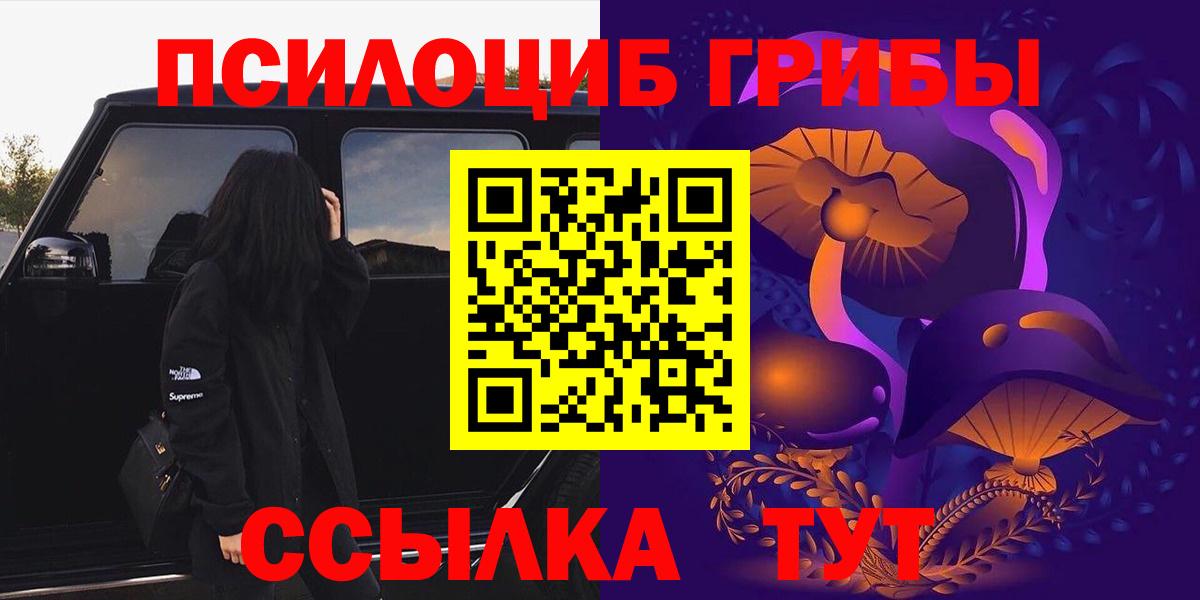 Фрязино  Псилоцибиновые грибы прущие грибы  Галлюциногенные грибы GOLDEN TEACHER  сколько стоит  Вход с VPN 